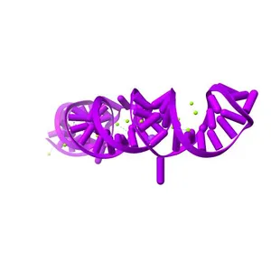 SARS-CoV-2 frameshifting pseudoknot RNA