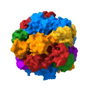 STRUCTURE OF RUBISCO FROM THERMOSYNECHOCOCCUS ELONGATUS