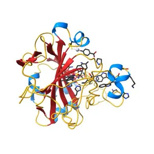 Human carboanhydrase F131C_C206S double mutant in complex with SA-2