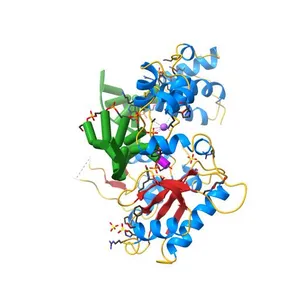 Crystal structure of the post-catalytic product complex of polymerase lambda with an rAMP at the primer terminus.