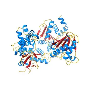 Crystal structure of DEAH-box ATPase Prp22