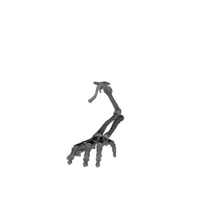 Upper Left Extremity_Human Skeleton
