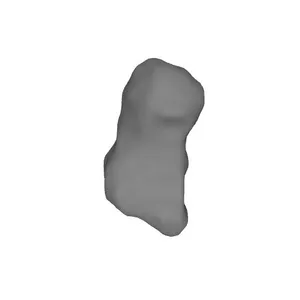 Wrist Bones_Human Skeleton