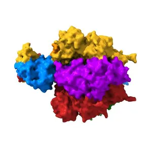 Bovine F1-ATPase inhibited by DCCD (dicyclohexylcarbodiimide)