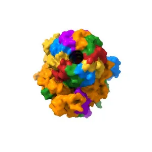 F1Fo-ATP synthase from Acinetobacter baumannii (state 1)