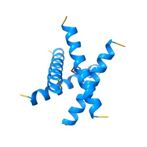 Magic-Angle-Spinning Solid-State NMR Structure of Influenza A M2 Transmembrane Domain