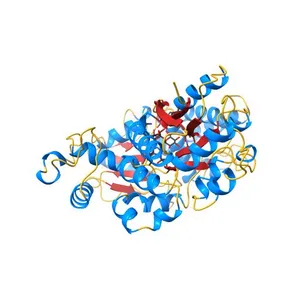 Crystal structure of LpqY from Mycobacterium thermoresistible in complex with trehalose