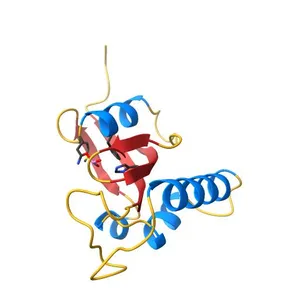 Crystal Structure Analysis of PIN1