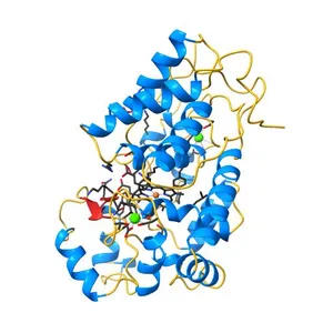 STRUCTURE OF HORSERADISH PEROXIDASE C1A COMPOUND II