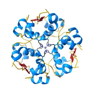 The structure of T6 bovine insulin