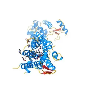 Agonist bound structure of the human adenosine A2a receptor