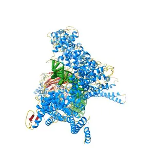 Cohesin complex with loader gripping DNA