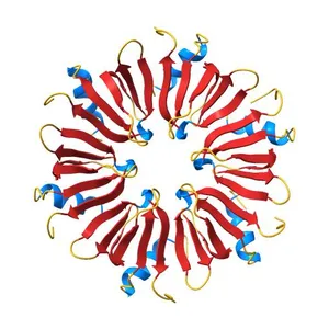 Crystal structure of the Hfq protein from Escherichia coli
