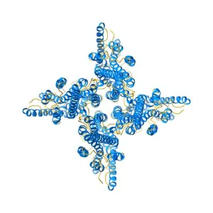 Cryo-EM structure of Orco