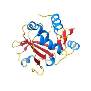 Crystal structure of Caulobacter crescentus ProXp-ala at 1.69 Angstrom