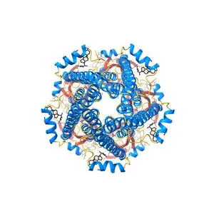 human alpha 7 nicotinic acetylcholine receptor in apo-form