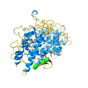 Crystal structure of Tyrosinase from Bacillus megaterium