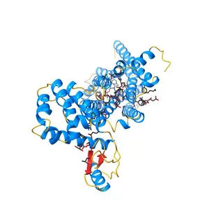 Structure of the human M1 muscarinic acetylcholine receptor bound to antagonist Tiotropium