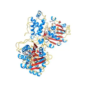 Crystal structure of iridoid synthase in complex with NADP+ and 8-oxogeranial at 2.65-angstrom resolution
