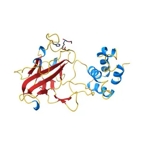 Domain 1 of Starch adherence system protein 20 (Sas20) from Ruminococcus bromii
