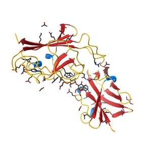 X25-2 domain of Sca5 from Ruminococcus bromii