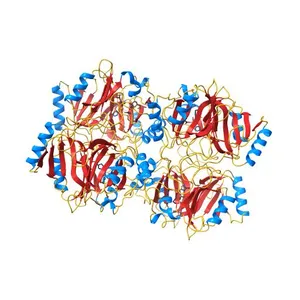 STRUCTURE OF CATECHOL 2,3-DIOXYGENASE (METAPYROCATECHASE) FROM PSEUDOMONAS PUTIDA MT-2