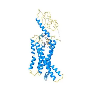 PF 06882961 bound to the glucagon-like peptide-1 receptor (GLP-1R):Gs complex