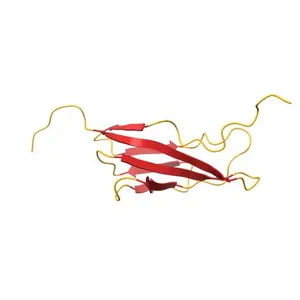 Solution structure of the PKD domain from KIAA 1837 protein