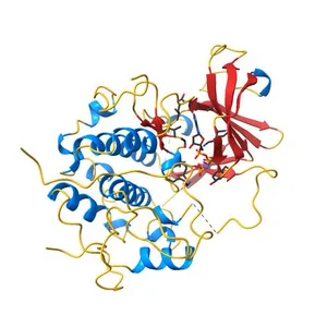 RSK2 N-terminal kinase domain in complex with ORF45