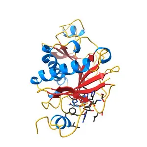 Human Histidine Triad Nucleotide Binding Protein 1 (hHint1) AMP catalytic product complex