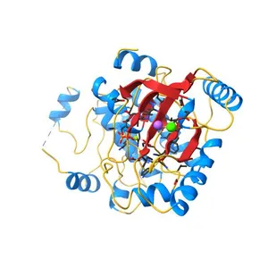 X-ray structure of the human mitogen-activated protein kinase kinase 1 (MEK1) in a ternary complex with U0126, ADP and MG2P