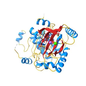 X-ray structure of the human mitogen-activated protein kinase kinase 1 (MEK1) in a binary complex with ADP and MG2P