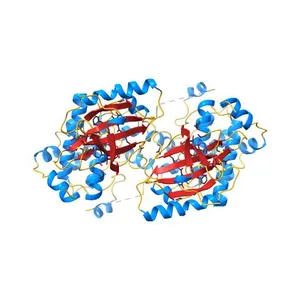 Crystal Structure of the human mitogen-activated protein kinase kinase 1 (MEK 1) in complex with ligand and MgADP