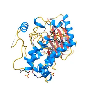 Mitogen-activated protein kinase kinase 1 (MEK1) in complex with CH4987655 and MgAMP-PNP