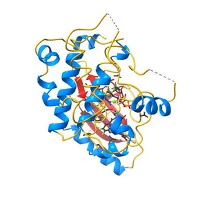 Mitogen-activated protein kinase kinase 1 (MEK1) in complex with CH4858061 and MgATP