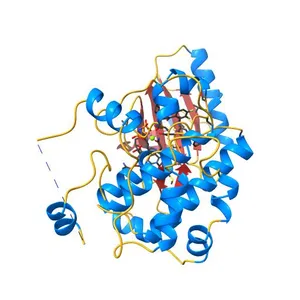 Crystal Structure of MEK1 kinase bound to GDC0973