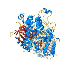 Crystal structure of the BRAF:MEK1 complex