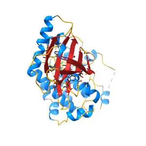 Mitogen-Activated Protein Kinase Kinase (MEK1) bound to G805