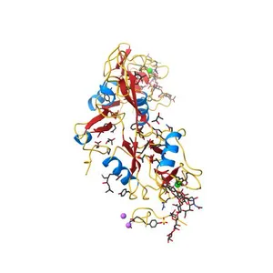 P-SELECTIN LECTIN/EGF DOMAINS COMPLEXED WITH PSGL-1 PEPTIDE