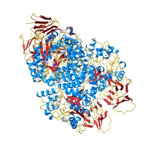 Crystal structure of truncated human CRMP-5 soaked with Zn