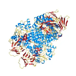 Crystal structure of truncated human CRMP-5
