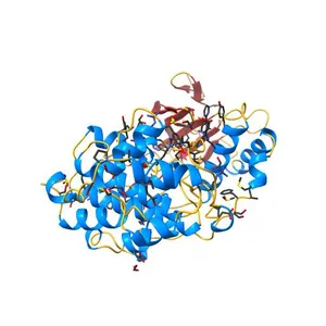 Structure of human ERK1 in complex with SCH772984 revealing a novel inhibitor-induced binding pocket