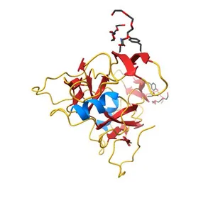 Crystal structure of human growth differentiation factor 11 (GDF-11)