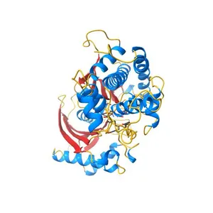 Crystal structure of yeast hexokinase PI in complex with glucose