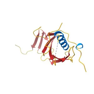 Crystal structure of human MAJIN and TERB2