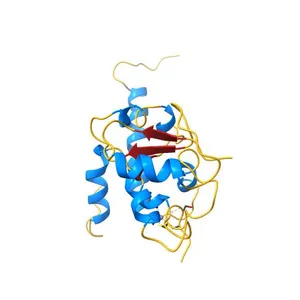 Crystal structure of human TERB2 and TERB1