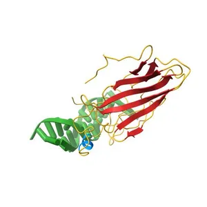 SOLUTION NMR STRUCTURE OF THE CORE NFATC1/DNA COMPLEX, 18 STRUCTURES