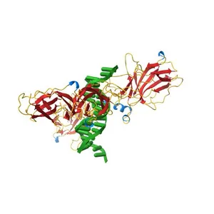 TonEBP/DNA COMPLEX