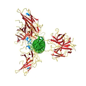 Crystal structure of NFAT bound to the HIV-1 LTR tandem kappaB enhancer element