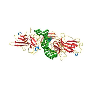 An asymmetric NFAT1-RHR homodimer on a pseudo-palindromic, Kappa-B site
